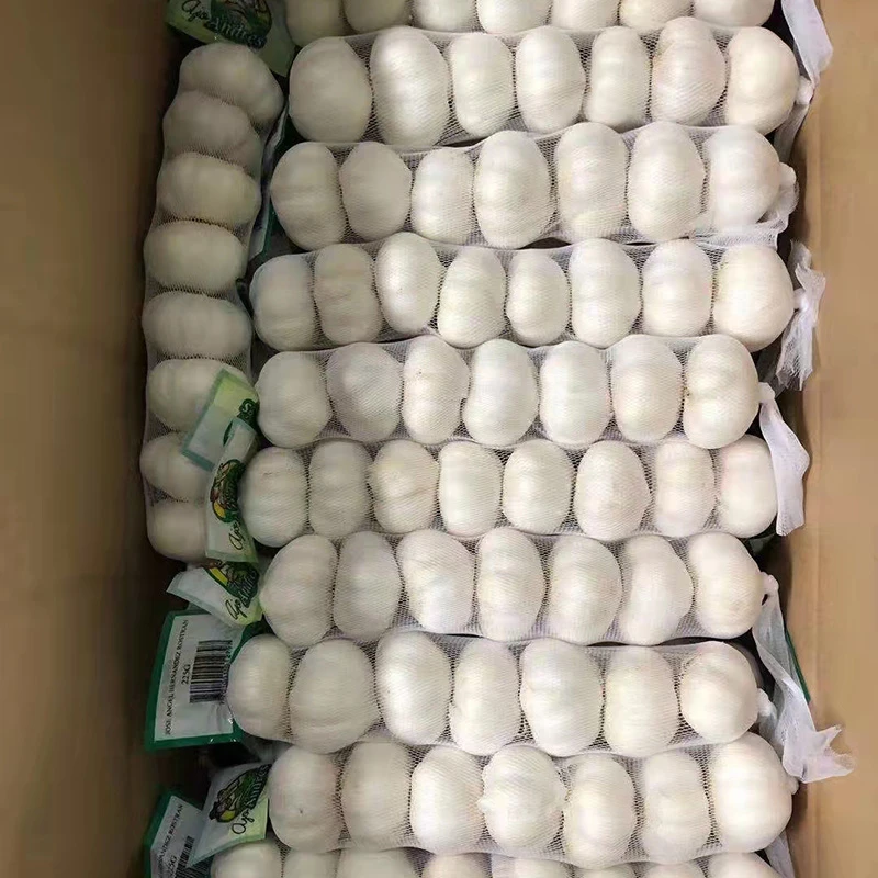 Velikost 5,5 Bulk Pure White Garlic Přímý prodej